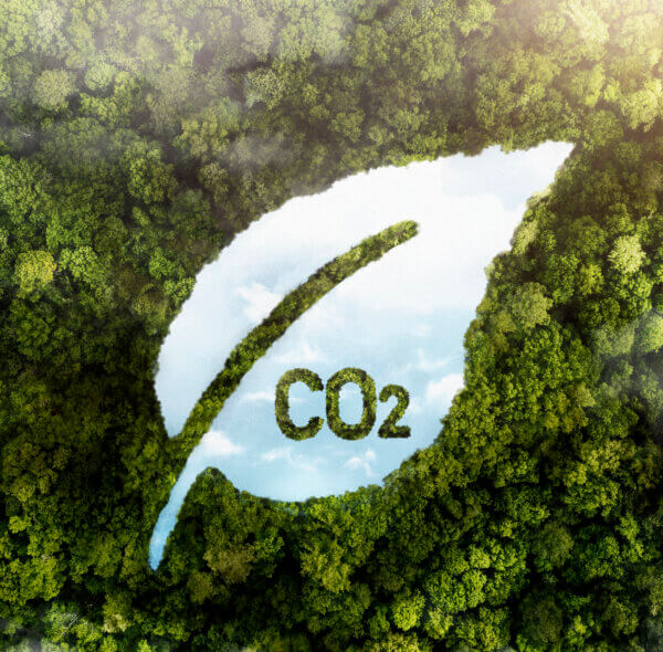 Créditos de carbono: uma solução para zerar as emissões